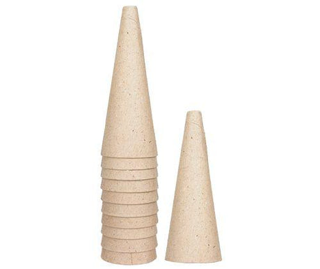 Cardboard Cones - Educational Vantage