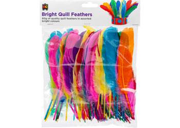 Bright Quill Feathers - Educational Vantage