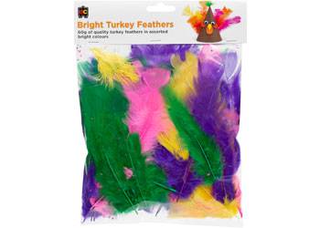 Bright Turkey Feathers - Educational Vantage