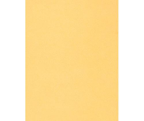 Skin / Earth Tone Craft Paper Pack of 48 - Educational Vantage