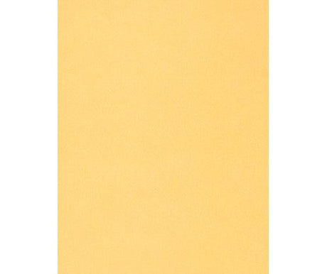 Skin / Earth Tone Craft Paper Pack of 48 - Educational Vantage