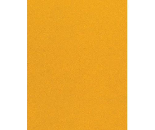 Skin / Earth Tone Craft Paper Pack of 48 - Educational Vantage