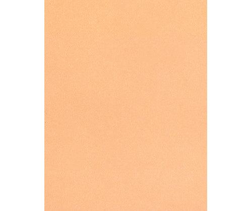 Skin / Earth Tone Craft Paper Pack of 48 - Educational Vantage