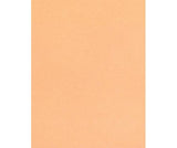 Skin / Earth Tone Craft Paper Pack of 48 - Educational Vantage