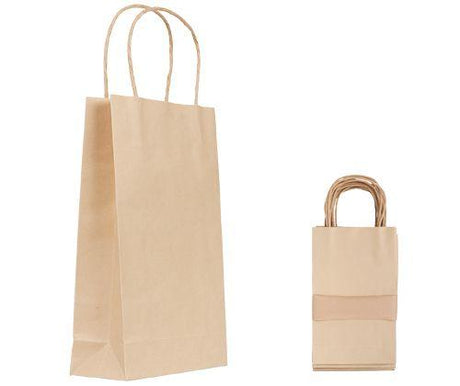 Paper Bag with Handle Pack of 10 - Educational Vantage