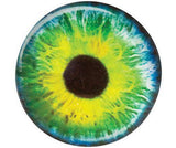 Creature Eyes Pack of 30 - Educational Vantage