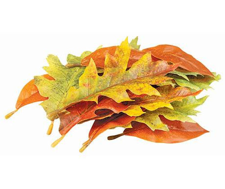 Autumn Leaves Assorted Plastic Pack of 50 - Educational Vantage