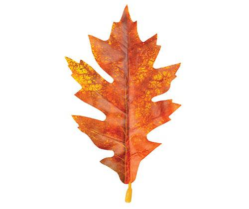 Autumn Leaves Assorted Plastic Pack of 50 - Educational Vantage