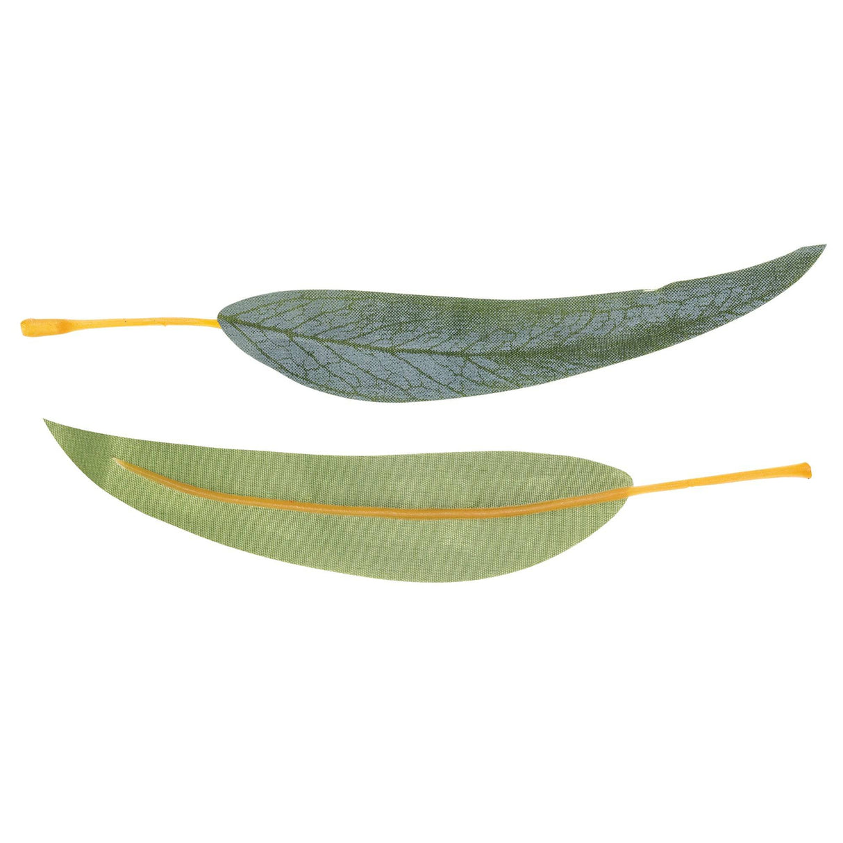 Gum Leaves Pack of 50 - Educational Vantage