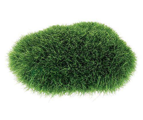 Grassy Stones Pack of 5 - Educational Vantage