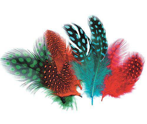 Guinea Fowl Feathers 10g Pack of 100 - Educational Vantage