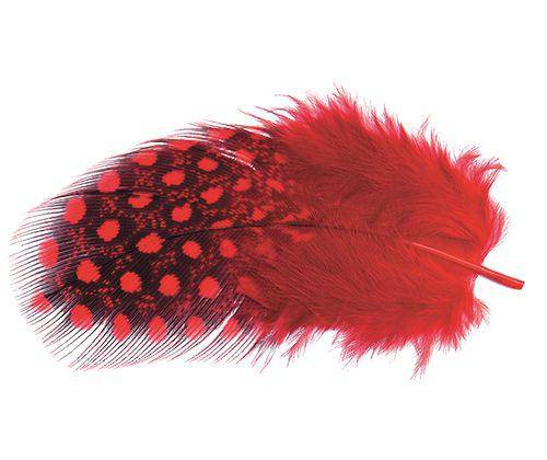 Guinea Fowl Feathers 10g Pack of 100 - Educational Vantage