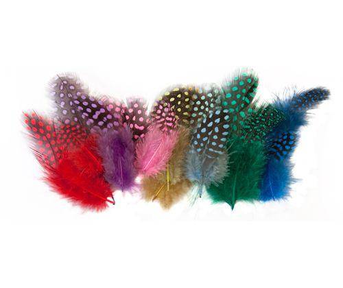 Guinea Fowl Feathers 10g Pack of 100 - Educational Vantage