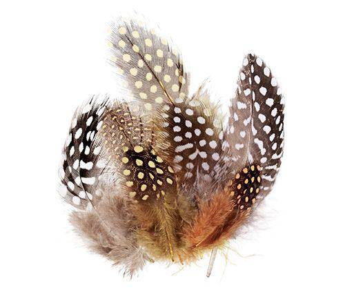 Guinea Fowl Feathers 10g Pack of 100 - Educational Vantage