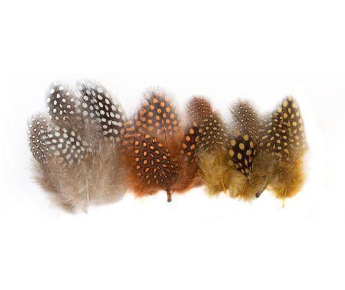 Guinea Fowl Feathers 10g Pack of 100 - Educational Vantage