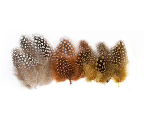 Guinea Fowl Feathers 10g Pack of 100 - Educational Vantage