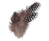 Guinea Fowl Feathers 10g Pack of 100 - Educational Vantage