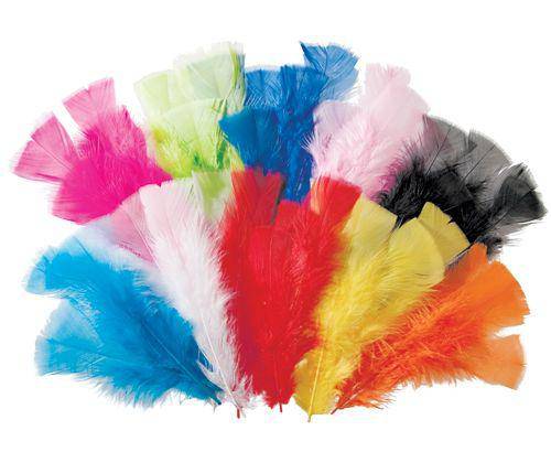 Feathers 60g Coloured Pack of 240 - Educational Vantage