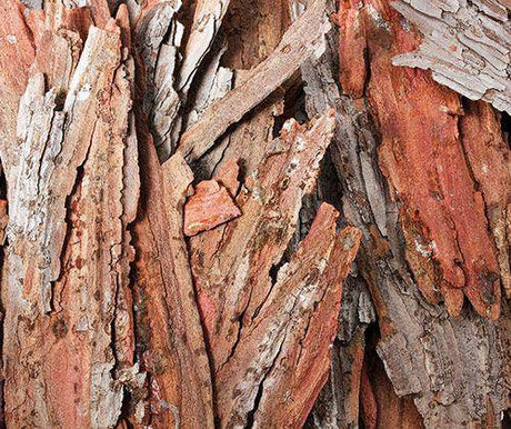 Natural Bark Pieces 250g - Educational Vantage