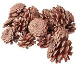 Pine Cones 200g - Educational Vantage