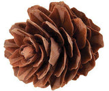 Pine Cones Mini190g - Educational Vantage