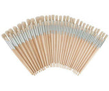 Hog Hair Assorted Size Bristle Brushes Pack of 60 - Educational Vantage