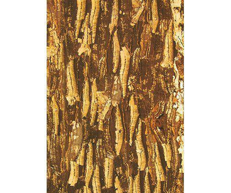 Bark Paper A3 Assorted Pack of 40 - Educational Vantage