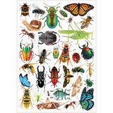 Collage Collections Creatures Pack of 40 - Educational Vantage