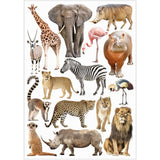 Collage Collections Creatures Pack of 40 - Educational Vantage