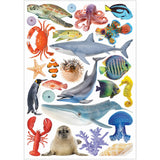 Collage Collections Creatures Pack of 40 - Educational Vantage