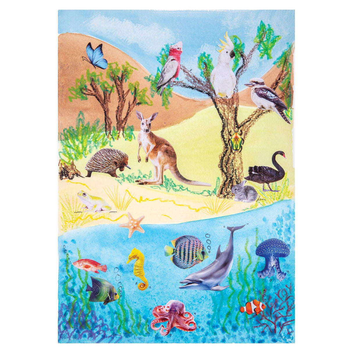 Collage Collections Creatures Pack of 40 - Educational Vantage