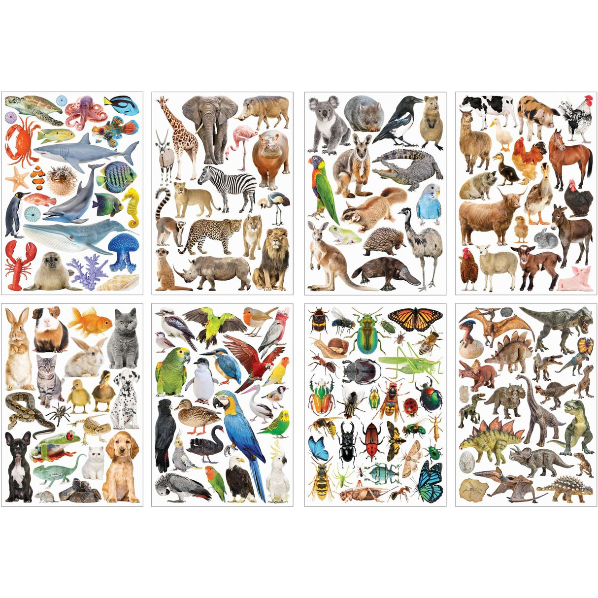 Collage Collections Creatures Pack of 40 - Educational Vantage