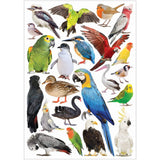 Collage Collections Creatures Pack of 40 - Educational Vantage