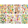 Collage Collections Thrive Pack of 40 - Educational Vantage