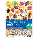 Collage Collections Thrive Pack of 40 - Educational Vantage