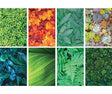 Pattern Papers A4 Foliage Pack of 40 - Educational Vantage