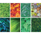 Pattern Papers A4 Foliage Pack of 40 - Educational Vantage