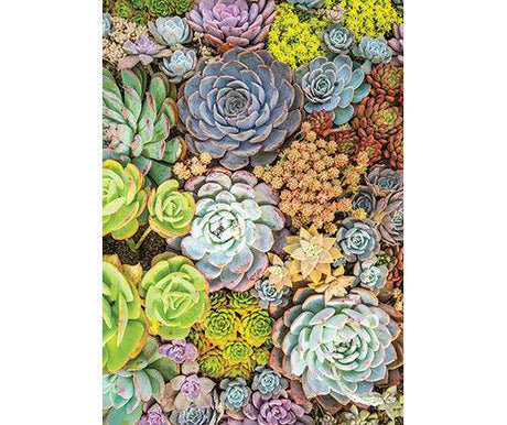 Pattern Papers A4 Foliage Pack of 40 - Educational Vantage