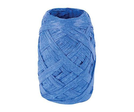 Paper Raffia Coloured Pack of 10 - Educational Vantage