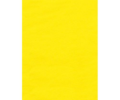 Coloured Tissue Paper Pack of 100 - Educational Vantage