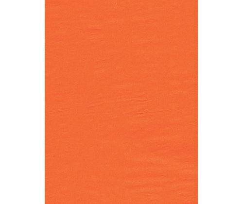 Coloured Tissue Paper Pack of 100 - Educational Vantage