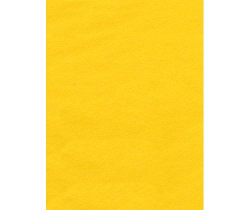 Coloured Tissue Paper Pack of 100 - Educational Vantage